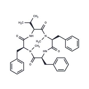 Hirsutide