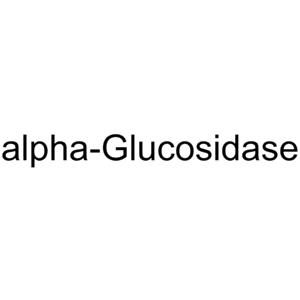 α-Glucosidase