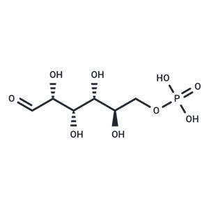 D-Glucose 6-phosphate