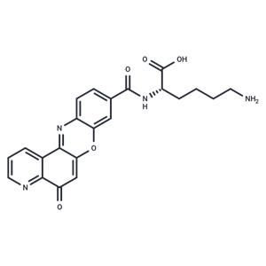 Topoisomerase IIα-IN-1