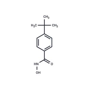 4-(tert-Butyl)-benzhydroxamic Acid