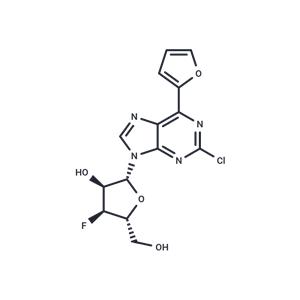 2-Chloro-6-(furan-2-yl)purine-beta-D-(3’-deoxy-3’-fluoro)riboside