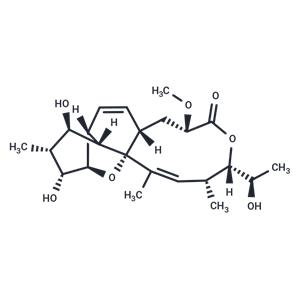 Nodusmicin