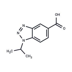 IBC 293