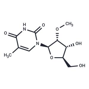 2’-O-Methyl-5-methyl uridine