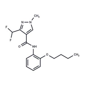 SDH-IN-5