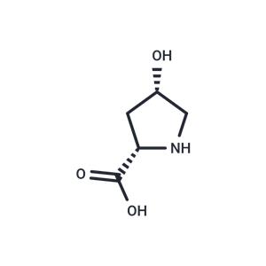 cis-4-Hydroxy-L-proline