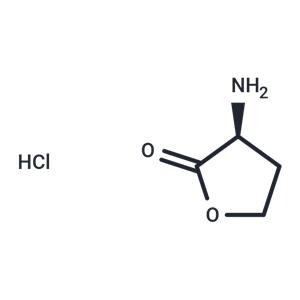 L-Homoserine lactone (hydrochloride)