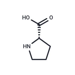 L-Proline