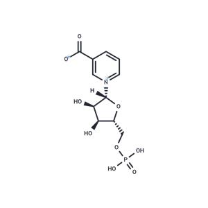 Nicotinic acid mononucleotide