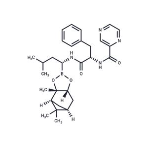 Bortezomib-pinanediol