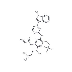 Alflutinib