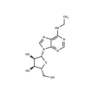 N6-Ethyladenosine