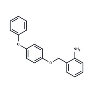 MERS-CoV-IN-1