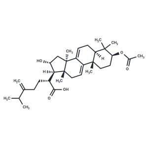 Dehydropachymic acid