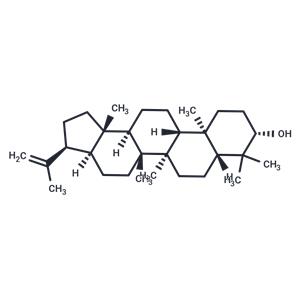 3β-Hydroxy-hop-22(29)-ene