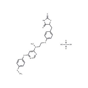 Lobeglitazone Sulfate