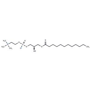 LysoFos Choline 12