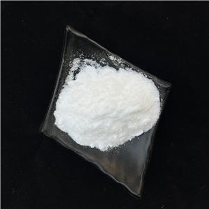 p-Aminobenzamide