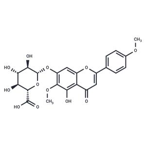 Comanthoside B