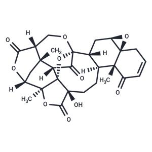 physalin F