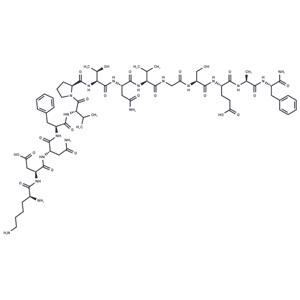 CGRP 8-37 (rat)