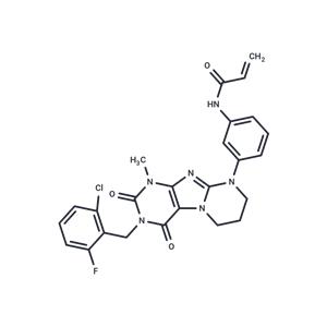 KRAS G12C inhibitor 30