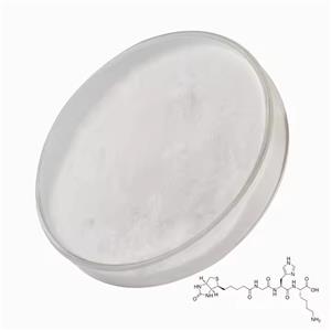 Semax Acetate