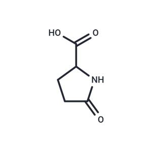 DL-Pyroglutamic acid