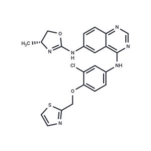 Varlitinib