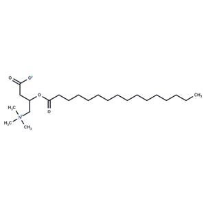 Palmitoylcarnitine