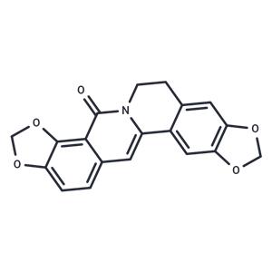 8-Oxocoptisine