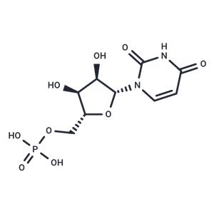 Uridine 5'-monophosphate