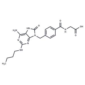 CL264