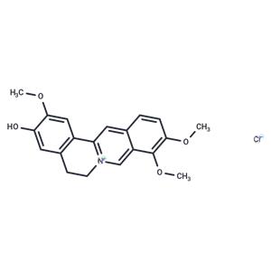 Jatrorrhizine hydrochloride