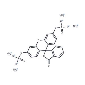 Fluorescein diphosphate tetraammonium