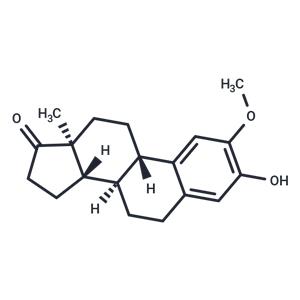 2-Methoxyestrone