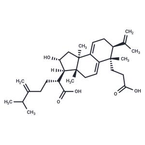 Poricoic acid A