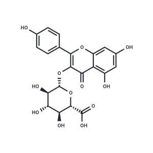 Kaempferol 3-O-β-D-glucuronide