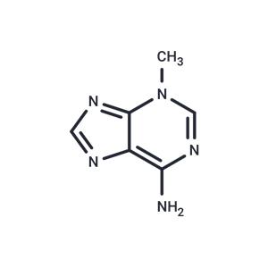 3-Methyladenine