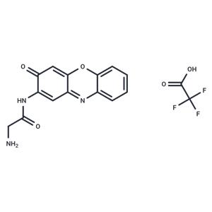 Questiomycin A derivatives 18 TFA