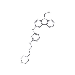 EHop-016