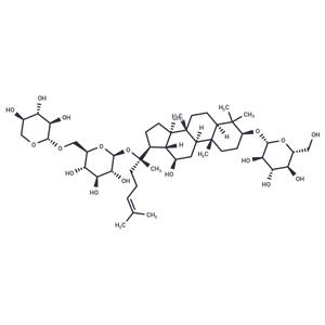 Gynostemma Extract