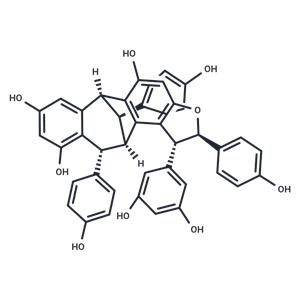 Ampelopsin G