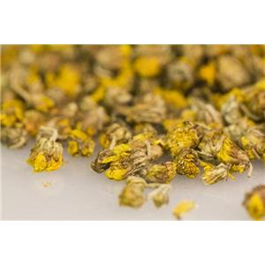 Chrysanthemum indicum Extract