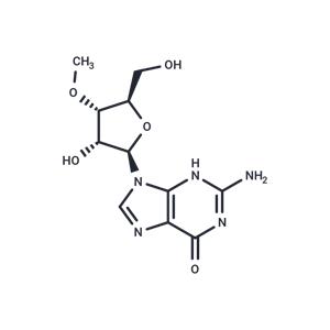 3’-O-Methyl guanosine