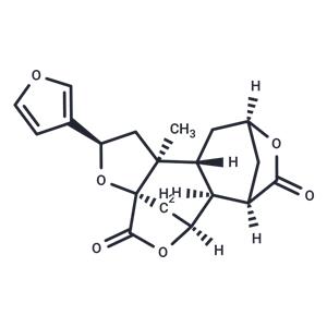 Diosbulbin B