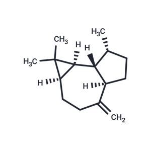 (+)-Aromadendrene