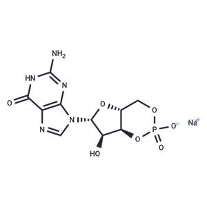 GUANOSINE 3':5'-CYCLIC MONOPHOSPHATE SOD