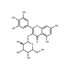 Myricetin 3-O-galactoside